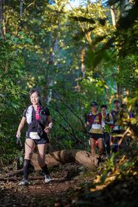 BIB: 
                            <button type="button" onclick="openModal(19244189)" class="btn btn-primary btn-sm float-right btn-popup" data-toggle="modal" data-target=".modal-high-quality">
                        <i class="fas fa-shopping-cart"></i> Add to Cart
                    </button>
                                            <button type="button" onclick="isThisMe(19244189, true)" class="btn btn-success btn-sm float-right btn-popup btn-isme hidden" data-toggle="tooltip" data-placement="bottom" title="นี่คือรูปของคุณใช่ไหม คลิกที่นี่เพื่อเอาเข้าอัลบั้ม">
                        <i class="fas fa-plus"></i> Add to album
                    </button>
                    <button type="button" onclick="isThisMe(19244189, false)" class="btn btn-warning btn-sm float-right btn-popup btn-isnotme hidden">
                        <i class="fas fa-ban"></i> Remove from album
                    </button>